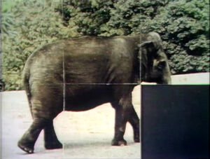 Slidepuzzle.Elephant