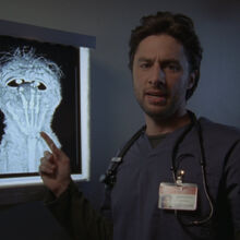 Funny Xray Memes