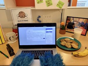 Reddit cookie