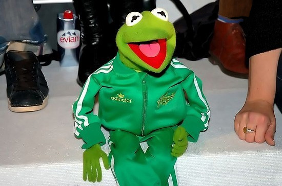 adidas kermit jacket