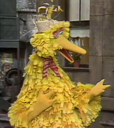 tom herman bird tom herman bird
