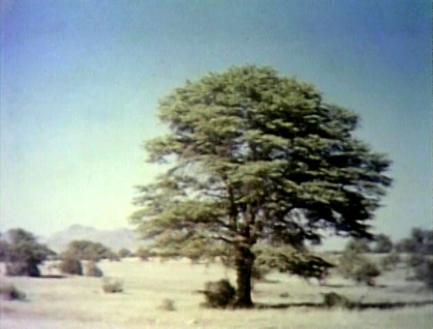 File:2477o.jpg
