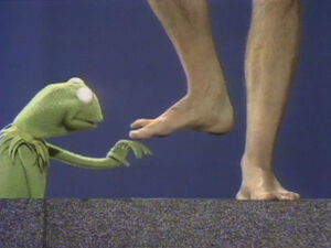Kermit feet