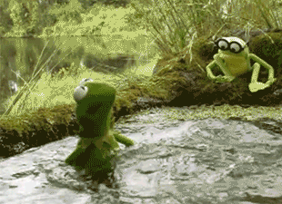 Kermit_spit_water_swamp.gif