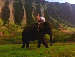 Shepelephant