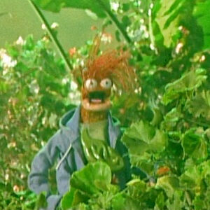 Yoda Muppet Wiki Fandom