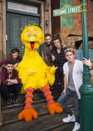 1D-with-BB