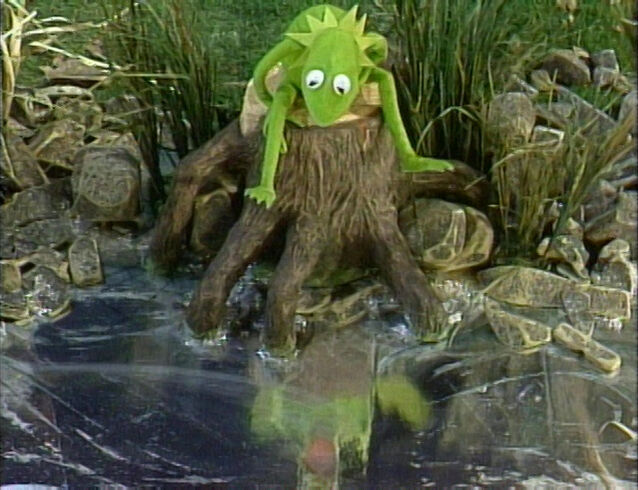 File:Song.tadpole.jpg