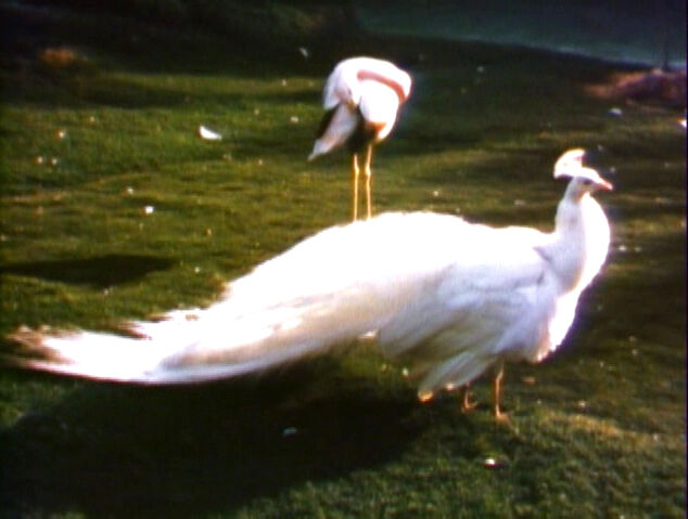 File:2096d.jpg