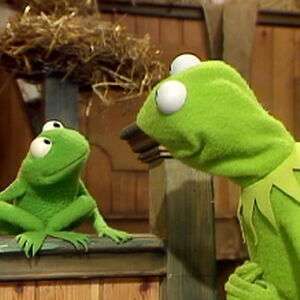 Kermit