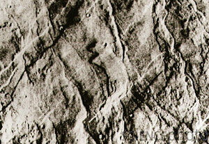 Kermit on Mars