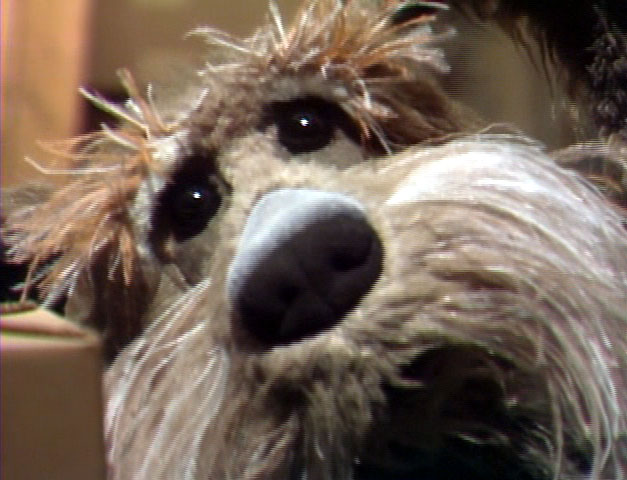 Resultado de imagen de sprocket fraggle