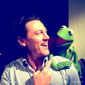 Luke evans kermit
