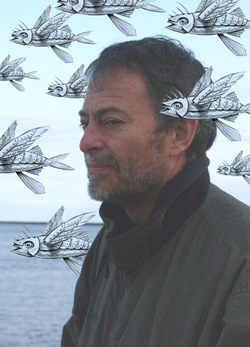 Dg profile fish