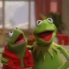 Robin The Frog Muppet Wiki Fandom