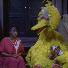 big bird teddy