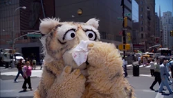 Episode 4207 | Muppet Wiki | FANDOM powered by Wikia