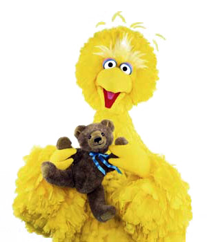 Bigbird-radar-NEW