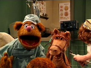 MT.DoctorFozzie