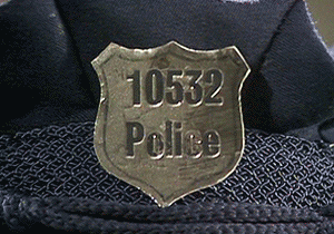 Bear on Patrol title