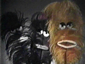 Muppet-feathers