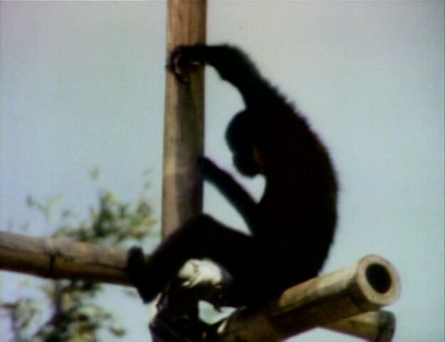 File:0573v.jpg