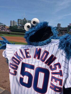 Cookie-Cubbies
