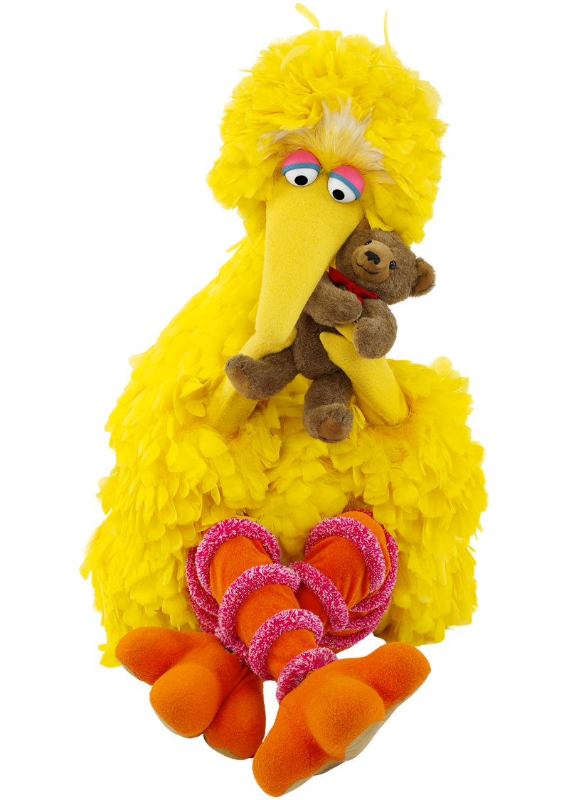 big bird teddy