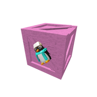 petbox careers