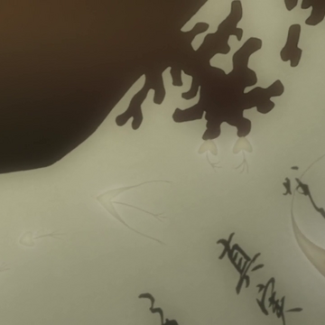 Wallpaper Book Worm Mushishi Wiki Fandom For Free