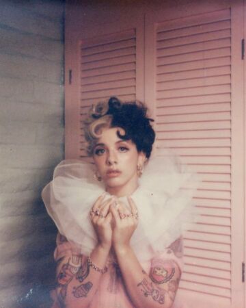 Melanie Martinez Artist Music Database Wiki Fandom