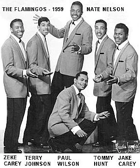 R&Atilde;&copy;sultat de recherche d'images pour "the  Flamingos"