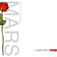 A Beautiful Lie Album Music Hub Fandom
