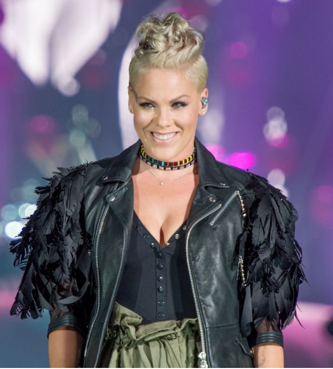 P!nk 2013