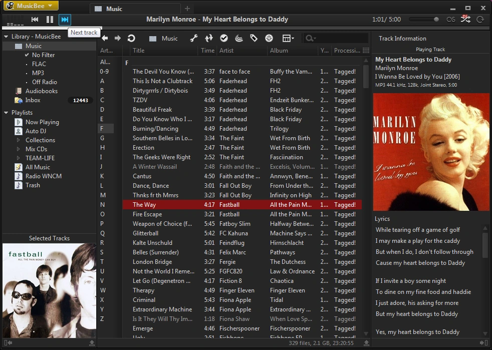 CategorySkins MusicBee Wiki FANDOM powered by Wikia