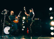 Wildcard-wedding-band