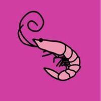 Flamingo Musicmania Wiki Fandom