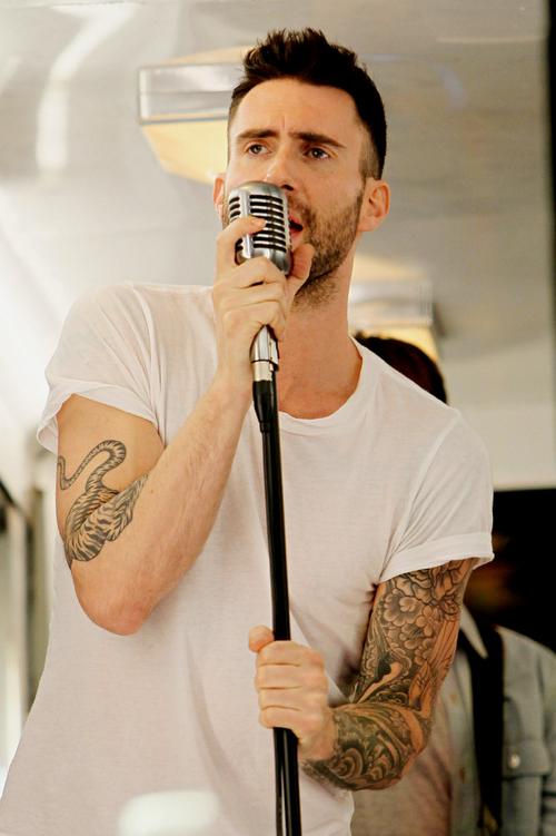 image adam levine jpg wiki music story fandom powered by wikia