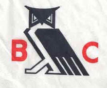 Owl bohemian grove