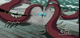 Squids