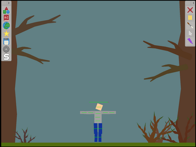 Jungle