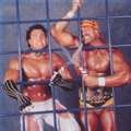 80cage