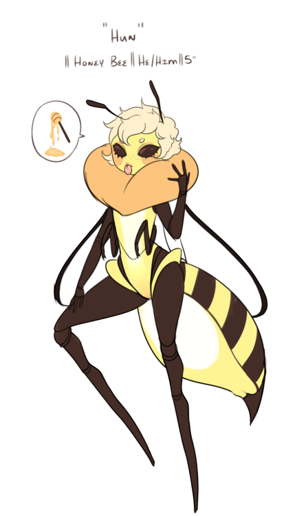my hero academia anime bee my hero academia anime bee