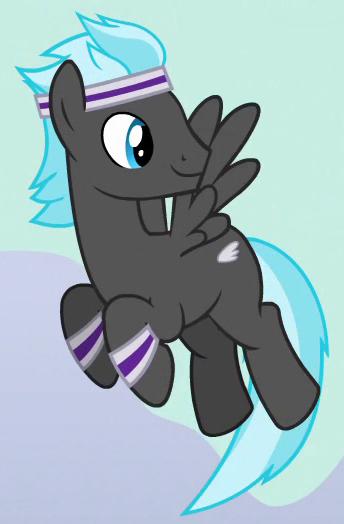 Cloud Chaser  My Little Pony: Friendship Is Magic 