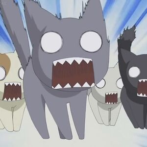 Hollywoodedge Cats Two Angry Yowlsd Pe022601 Image Gallery My