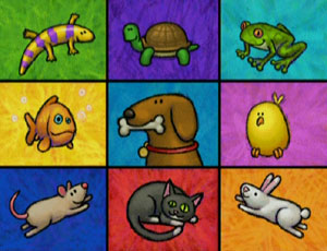 Ewpets-dvdcard
