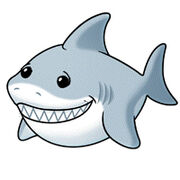 RescueReef's Shark