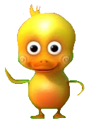 geo geo duck