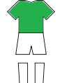 United Ireland minifoot
