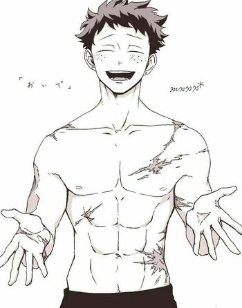 Izuku Midoriya (Family Honor) | Boku no Hero Academia Wiki | Fandom